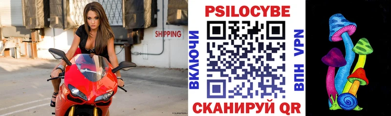 Псилоцибиновые грибы мицелий  Комсомольск-на-Амуре 