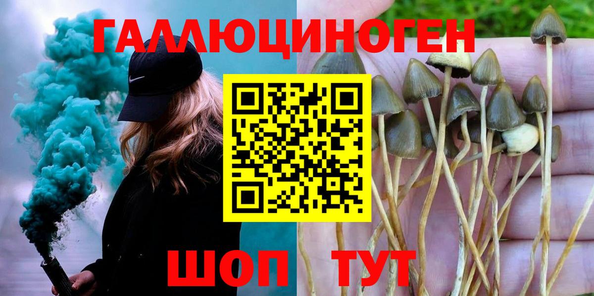 Псилоцибиновые грибы мухоморы  Галлюциногенные грибы ЛСД  Комсомольск-на-Амуре  Вход с VPN 